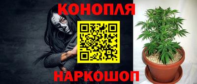 PSILOCYBIN Бугуруслан